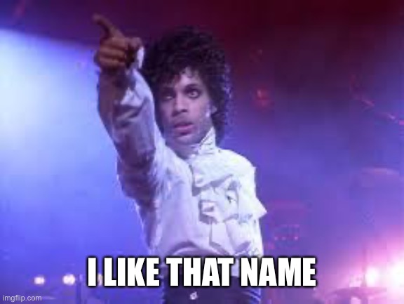 Prince | I LIKE THAT NAME | image tagged in prince | made w/ Imgflip meme maker