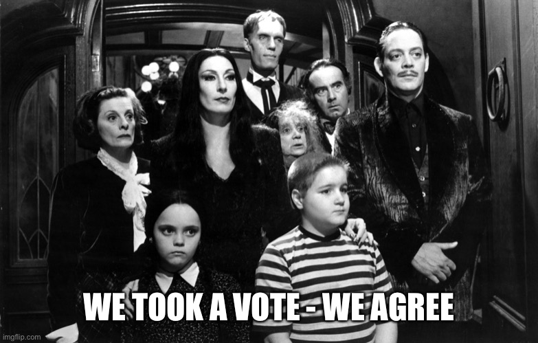 The Addams family | WE TOOK A VOTE - WE AGREE | image tagged in the addams family | made w/ Imgflip meme maker