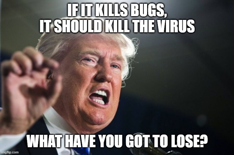 donald trump | IF IT KILLS BUGS, IT SHOULD KILL THE VIRUS WHAT HAVE YOU GOT TO LOSE? | image tagged in donald trump | made w/ Imgflip meme maker