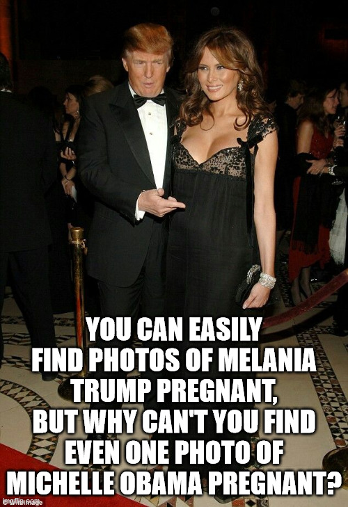 Why are there no photos of Michelle Obama pregnant? | YOU CAN EASILY FIND PHOTOS OF MELANIA TRUMP PREGNANT, BUT WHY CAN'T YOU FIND EVEN ONE PHOTO OF MICHELLE OBAMA PREGNANT? | image tagged in michella obama,melania trump,pregnant | made w/ Imgflip meme maker