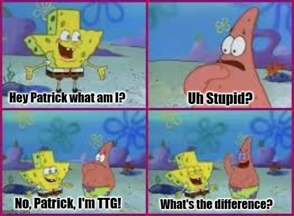 hey patrick what am i | Hey Patrick what am I? Uh Stupid? No, Patrick, I'm TTG! What's the difference? | image tagged in hey patrick what am i | made w/ Imgflip meme maker