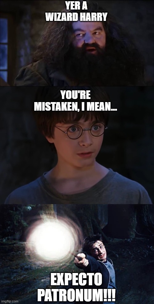 Yer a Wizard Harry | YER A WIZARD HARRY; YOU'RE MISTAKEN, I MEAN... EXPECTO PATRONUM!!! | image tagged in harry potter,memes | made w/ Imgflip meme maker