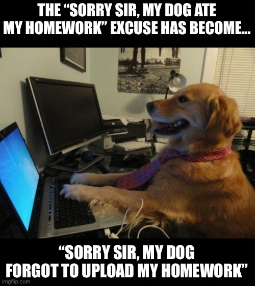 My dog forgot... | THE “SORRY SIR, MY DOG ATE MY HOMEWORK” EXCUSE HAS BECOME... “SORRY SIR, MY DOG FORGOT TO UPLOAD MY HOMEWORK” | image tagged in dog behind a computer | made w/ Imgflip meme maker