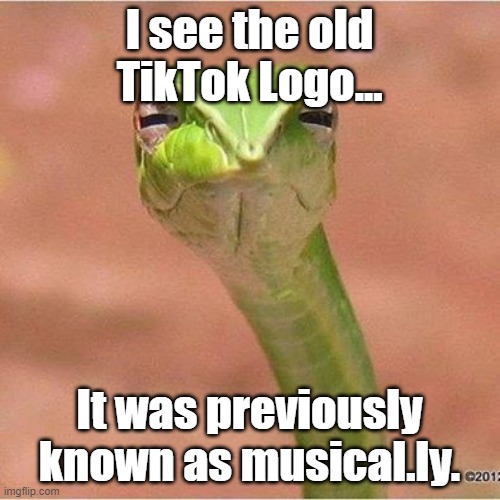 Snek Blank | I see the old TikTok Logo... It was previously known as musical.ly. | image tagged in snek blank | made w/ Imgflip meme maker