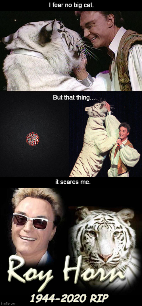 R.I.P. You Bloody Kraut | I fear no big cat. But that thing... it scares me. 1944-2020 RIP | image tagged in memes,siegfried and roy,roy horn,las vegas,rip,covid19 | made w/ Imgflip meme maker