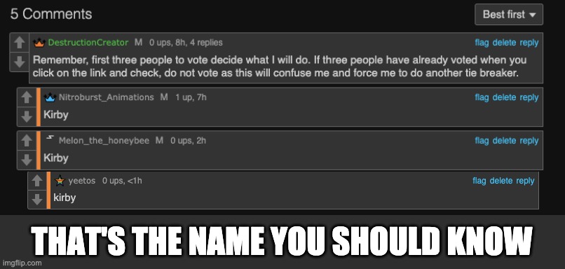 This happened in a voting image. | THAT'S THE NAME YOU SHOULD KNOW | image tagged in kirby | made w/ Imgflip meme maker