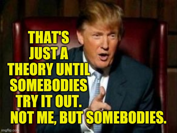 Donald Trump | THAT'S JUST A THEORY UNTIL SOMEBODIES TRY IT OUT. NOT ME, BUT SOMEBODIES. | image tagged in donald trump | made w/ Imgflip meme maker