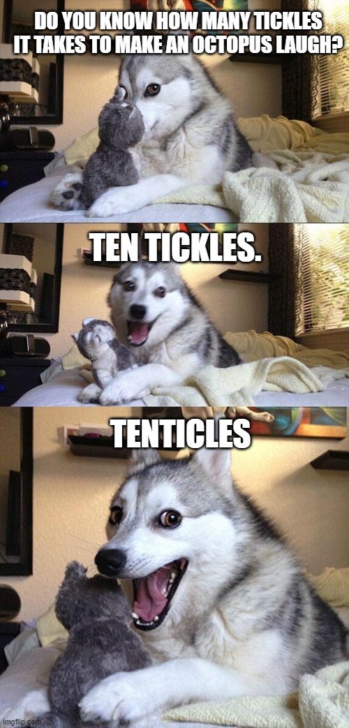 Bad Pun Dog | DO YOU KNOW HOW MANY TICKLES IT TAKES TO MAKE AN OCTOPUS LAUGH? TEN TICKLES. TENTICLES | image tagged in memes,bad pun dog | made w/ Imgflip meme maker