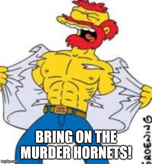 Groundskeeper Willie | BRING ON THE MURDER HORNETS! | image tagged in groundskeeper willie | made w/ Imgflip meme maker