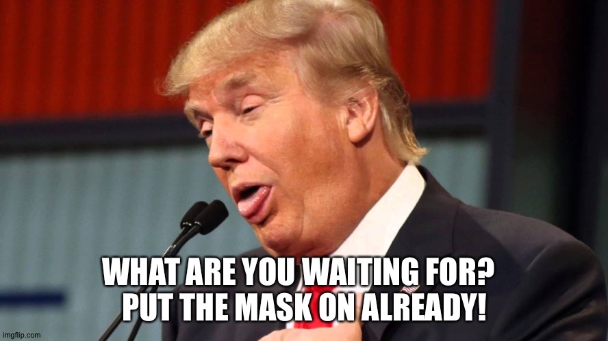 stupid trump | WHAT ARE YOU WAITING FOR?  
PUT THE MASK ON ALREADY! | image tagged in stupid trump | made w/ Imgflip meme maker