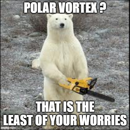 Polar Vortex | POLAR VORTEX ? THAT IS THE LEAST OF YOUR WORRIES | image tagged in polar bear,polar vortex,climate change,climate | made w/ Imgflip meme maker