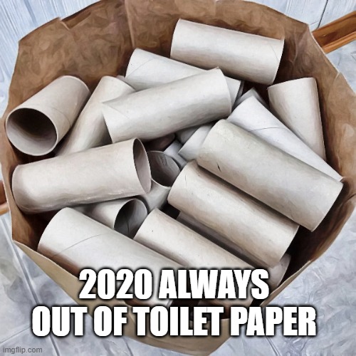Empty Toilet Rolls | 2020 ALWAYS OUT OF TOILET PAPER | image tagged in empty toilet rolls | made w/ Imgflip meme maker