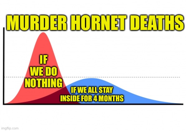 Flatten the curve! | MURDER HORNET DEATHS; IF WE DO NOTHING; IF WE ALL STAY INSIDE FOR 4 MONTHS | image tagged in flatten the curve,memes | made w/ Imgflip meme maker