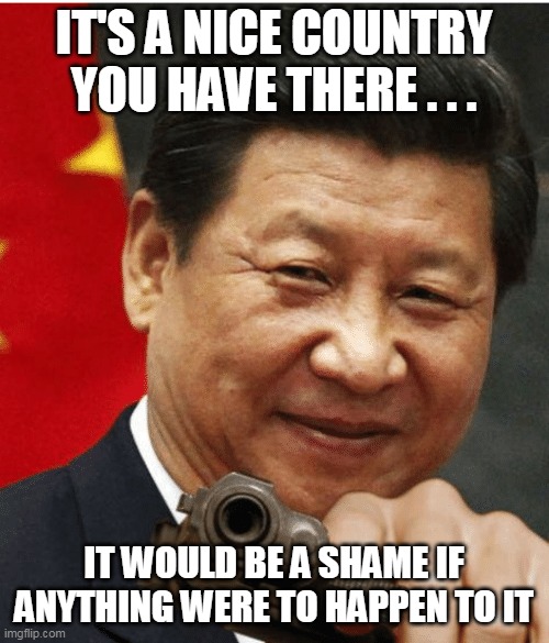 Xi Jinping | IT'S A NICE COUNTRY YOU HAVE THERE . . . IT WOULD BE A SHAME IF ANYTHING WERE TO HAPPEN TO IT | image tagged in xi jinping | made w/ Imgflip meme maker