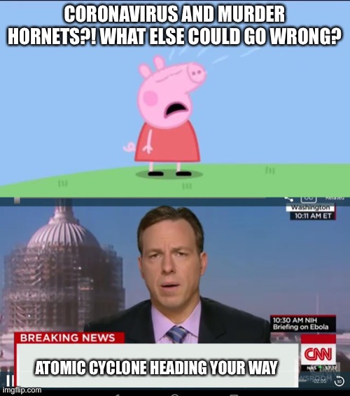 This is very true | CORONAVIRUS AND MURDER HORNETS?! WHAT ELSE COULD GO WRONG? ATOMIC CYCLONE HEADING YOUR WAY | image tagged in why does peppa pig,cnn breaking news template | made w/ Imgflip meme maker