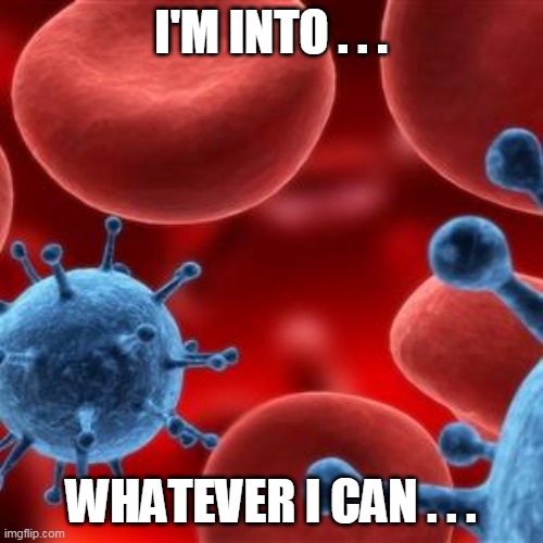 virus  | I'M INTO . . . WHATEVER I CAN . . . | image tagged in virus | made w/ Imgflip meme maker