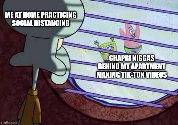 Squidward window | ME AT HOME PRACTICING SOCIAL DISTANCING; CHAPRI NIGGAS BEHIND MY APARTMENT MAKING TIK-TOK VIDEOS | image tagged in squidward window | made w/ Imgflip meme maker