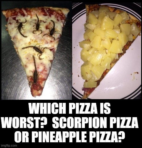 Which Pizza Is Worst? | image tagged in pineapple pizza | made w/ Imgflip meme maker