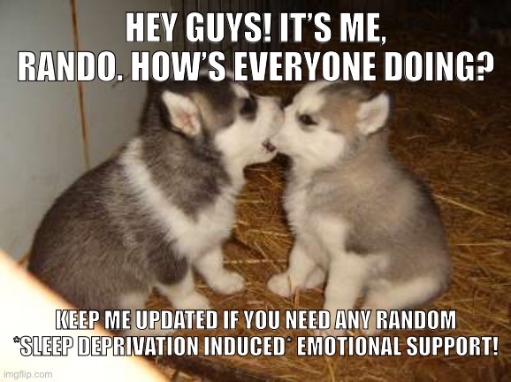 Hey Rory! | HEY GUYS! IT’S ME, RANDO. HOW’S EVERYONE DOING? KEEP ME UPDATED IF YOU NEED ANY RANDOM *SLEEP DEPRIVATION INDUCED* EMOTIONAL SUPPORT! | image tagged in memes,cute puppies | made w/ Imgflip meme maker