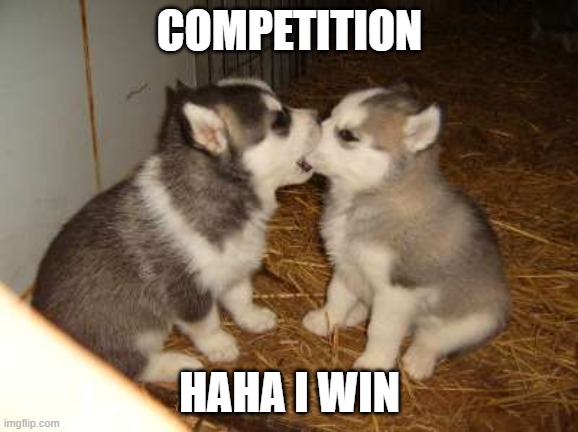 Bio Competition | COMPETITION; HAHA I WIN | image tagged in memes,cute puppies | made w/ Imgflip meme maker
