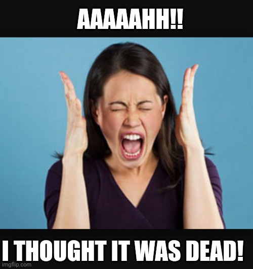 Screaming Woman | I THOUGHT IT WAS DEAD! AAAAAHH!! | image tagged in screaming woman | made w/ Imgflip meme maker