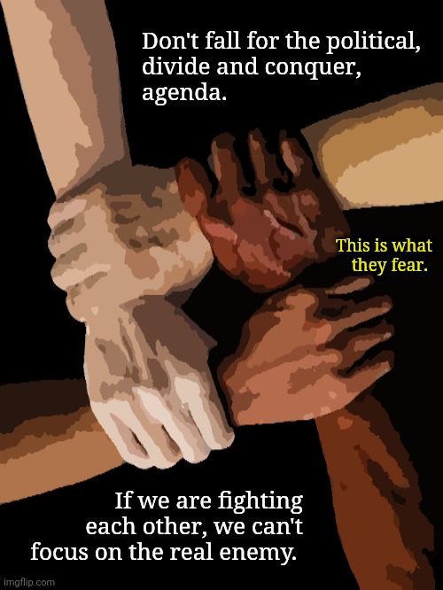 They fear racial unity. | Don't fall for the political,
divide and conquer, 
agenda. This is what
they fear. If we are fighting each other, we can't focus on the real enemy. | image tagged in human race | made w/ Imgflip meme maker