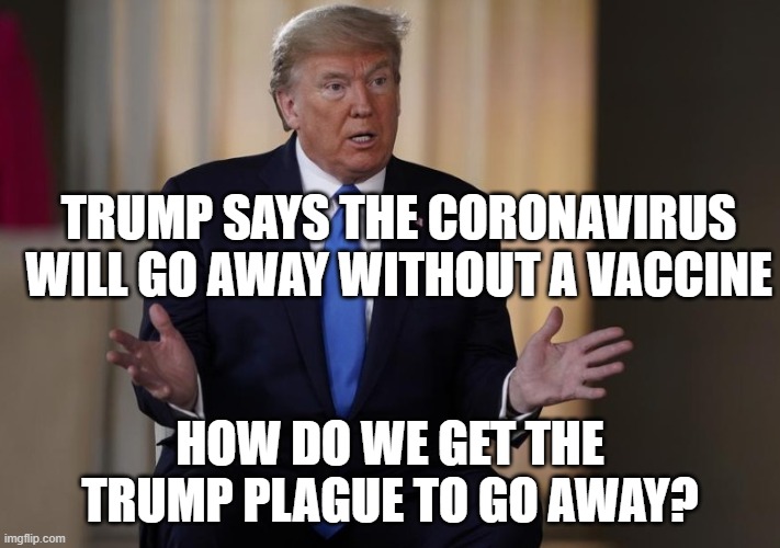 The MAJORITY of Americans would be happy if Trump just went away and STFU! | TRUMP SAYS THE CORONAVIRUS WILL GO AWAY WITHOUT A VACCINE; HOW DO WE GET THE TRUMP PLAGUE TO GO AWAY? | image tagged in donald trump is an idiot,coronavirus,covid-19,covid19,impeached,psychopath | made w/ Imgflip meme maker