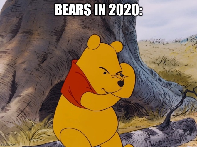 BEARS IN 2020: | image tagged in 2020 | made w/ Imgflip meme maker