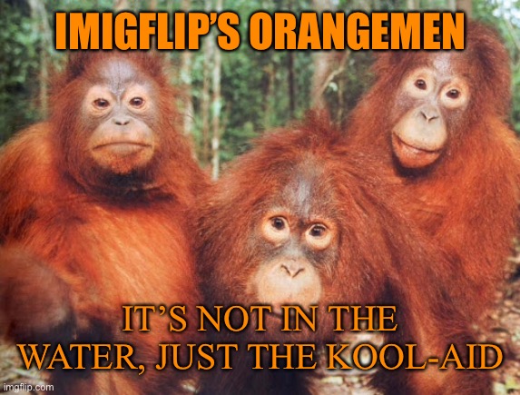 IMIGFLIP’S ORANGEMEN IT’S NOT IN THE WATER, JUST THE KOOL-AID | made w/ Imgflip meme maker