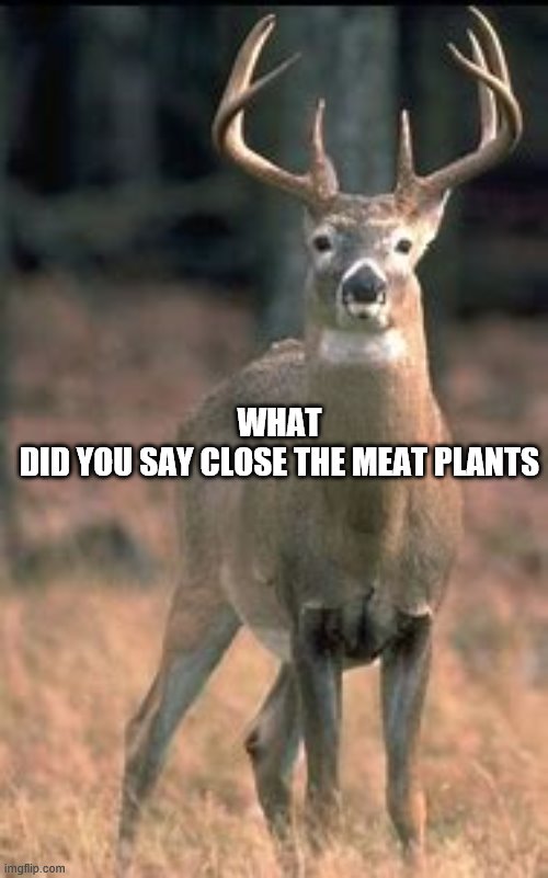 meat plants | WHAT
DID YOU SAY CLOSE THE MEAT PLANTS | image tagged in whitetail deer,hunting | made w/ Imgflip meme maker
