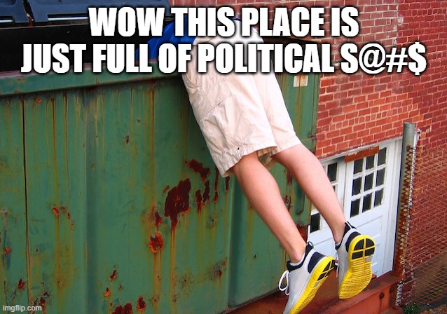 Stating the obvious friend | WOW THIS PLACE IS JUST FULL OF POLITICAL S@#$ | image tagged in dumpster dive | made w/ Imgflip meme maker