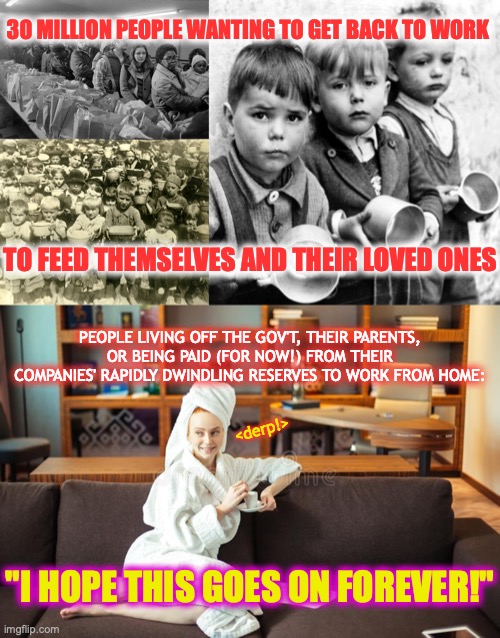 who wouldn't want to keep it going? if you're one of the privileged | 30 MILLION PEOPLE WANTING TO GET BACK TO WORK; TO FEED THEMSELVES AND THEIR LOVED ONES; PEOPLE LIVING OFF THE GOV'T, THEIR PARENTS, OR BEING PAID (FOR NOW!) FROM THEIR COMPANIES' RAPIDLY DWINDLING RESERVES TO WORK FROM HOME:; <derp!>; "I HOPE THIS GOES ON FOREVER!" | image tagged in privledged,phony lockdown | made w/ Imgflip meme maker