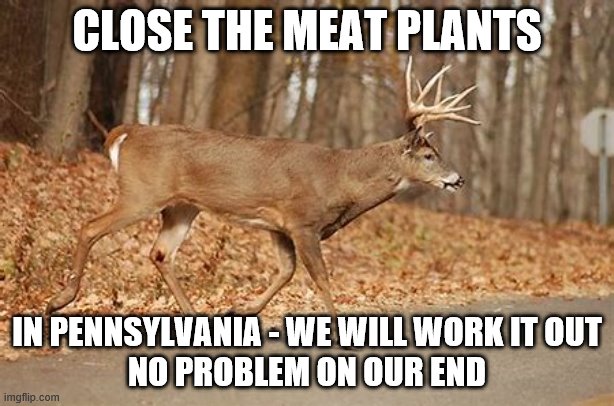 meat plants close | CLOSE THE MEAT PLANTS; IN PENNSYLVANIA - WE WILL WORK IT OUT
 NO PROBLEM ON OUR END | image tagged in hunting,whitetail deer | made w/ Imgflip meme maker