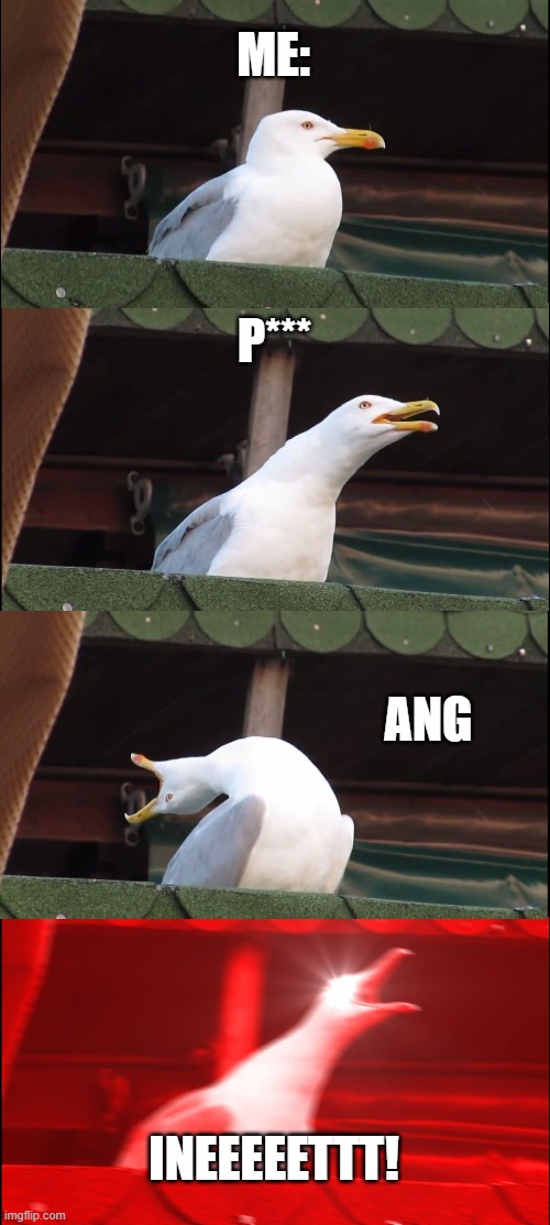 Inhaling Seagull Meme | ME:; P***; ANG; INEEEEETTT! | image tagged in memes,inhaling seagull | made w/ Imgflip meme maker
