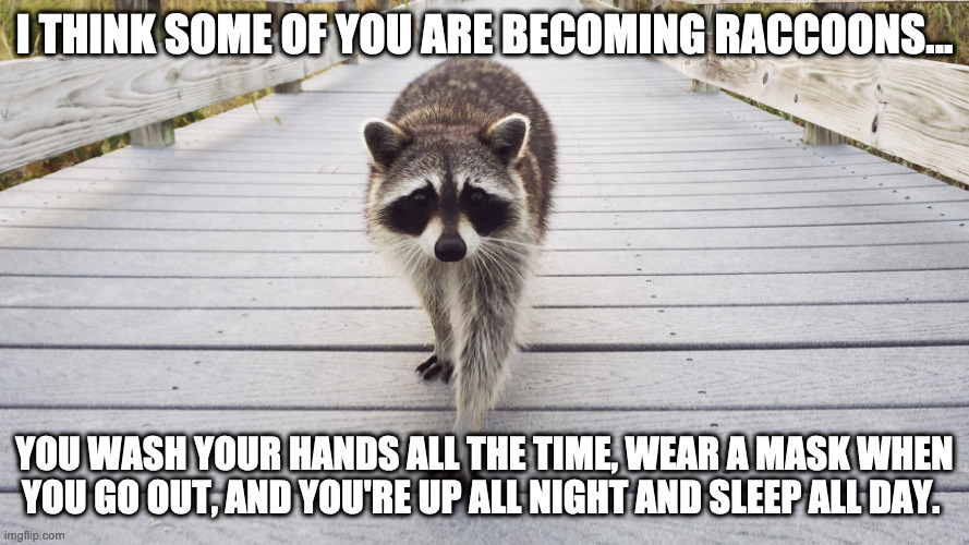 Becoming Raccoons | I THINK SOME OF YOU ARE BECOMING RACCOONS... YOU WASH YOUR HANDS ALL THE TIME, WEAR A MASK WHEN YOU GO OUT, AND YOU'RE UP ALL NIGHT AND SLEEP ALL DAY. | image tagged in coronavirus,covid-19,washing hands,raccoons | made w/ Imgflip meme maker