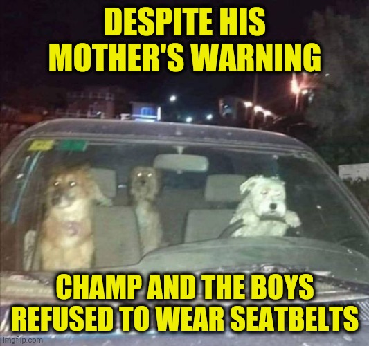 Joyride | DESPITE HIS MOTHER'S WARNING; CHAMP AND THE BOYS REFUSED TO WEAR SEATBELTS | image tagged in joyride | made w/ Imgflip meme maker