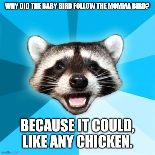 A Pun For Your Mother's Day | WHY DID THE BABY BIRD FOLLOW THE MOMMA BIRD? BECAUSE IT COULD, LIKE ANY CHICKEN. | image tagged in memes,lame pun coon,momma bird,baby bird,synonym,formula | made w/ Imgflip meme maker
