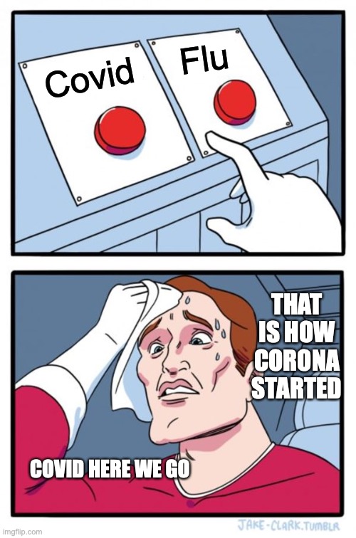 Two Buttons Meme | Flu; Covid; THAT IS HOW CORONA STARTED; COVID HERE WE GO | image tagged in memes,two buttons | made w/ Imgflip meme maker