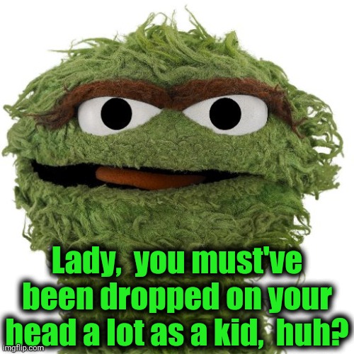 Oscar The Grouch | Lady,  you must've been dropped on your head a lot as a kid,  huh? | image tagged in oscar the grouch | made w/ Imgflip meme maker