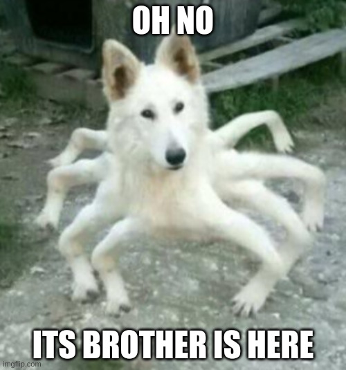 oh no :0 its a spupper | OH NO; ITS BROTHER IS HERE | made w/ Imgflip meme maker