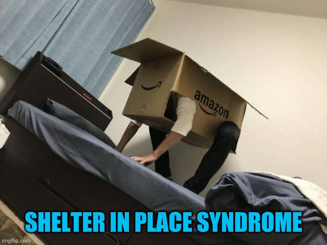 Madness strikes 1 in 4 | SHELTER IN PLACE SYNDROME | image tagged in shelter in place | made w/ Imgflip meme maker