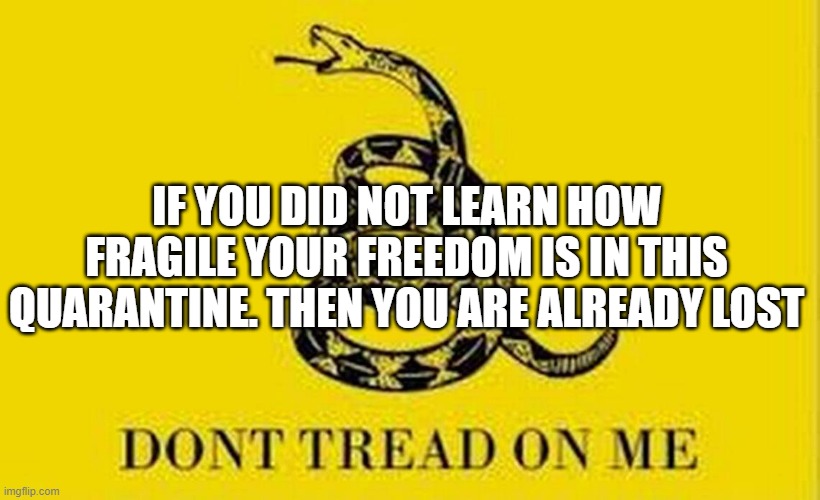 Colonial Flag |  IF YOU DID NOT LEARN HOW FRAGILE YOUR FREEDOM IS IN THIS QUARANTINE. THEN YOU ARE ALREADY LOST | image tagged in colonial flag | made w/ Imgflip meme maker