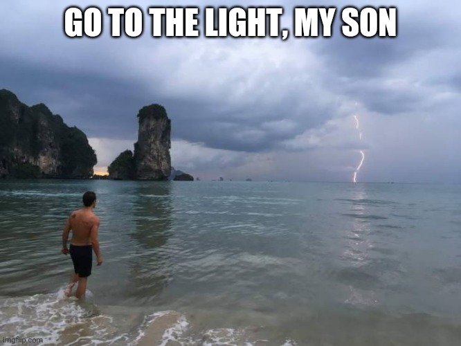 Weeding out the dumb ones! | GO TO THE LIGHT, MY SON | image tagged in lightning | made w/ Imgflip meme maker