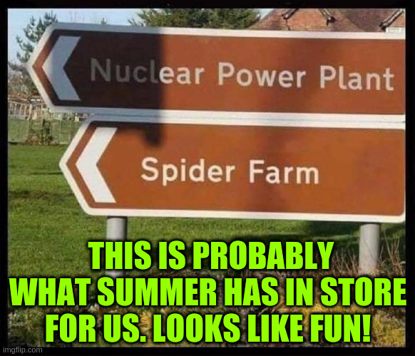 Nuke Spideyz | THIS IS PROBABLY WHAT SUMMER HAS IN STORE FOR US. LOOKS LIKE FUN! | image tagged in covid-19,funny memes,coronavirus,world | made w/ Imgflip meme maker