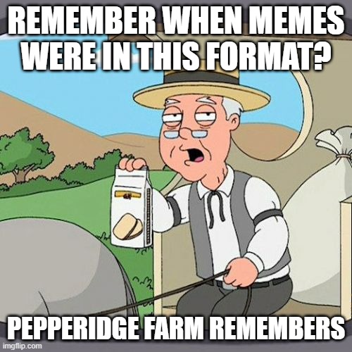 Pepperidge Farm Remembers Meme | REMEMBER WHEN MEMES WERE IN THIS FORMAT? PEPPERIDGE FARM REMEMBERS | image tagged in memes,pepperidge farm remembers | made w/ Imgflip meme maker