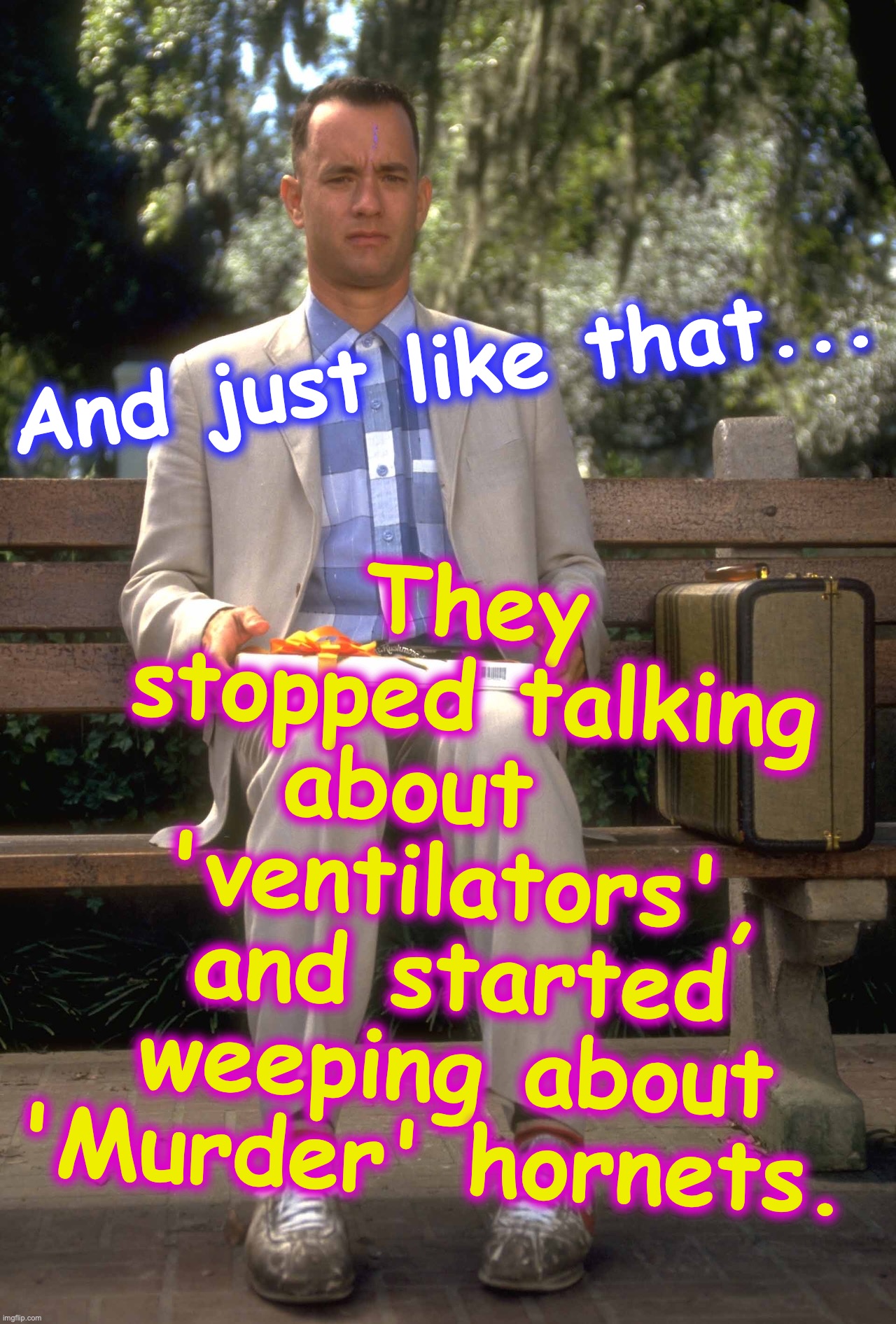 Forrest Gump | They stopped talking about    'ventilators', and started weeping about 'Murder' hornets. And just like that... | image tagged in forrest gump,covid-19,murder hornets | made w/ Imgflip meme maker
