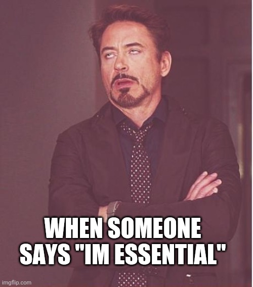 Face You Make Robert Downey Jr | WHEN SOMEONE SAYS "IM ESSENTIAL" | image tagged in memes,face you make robert downey jr | made w/ Imgflip meme maker