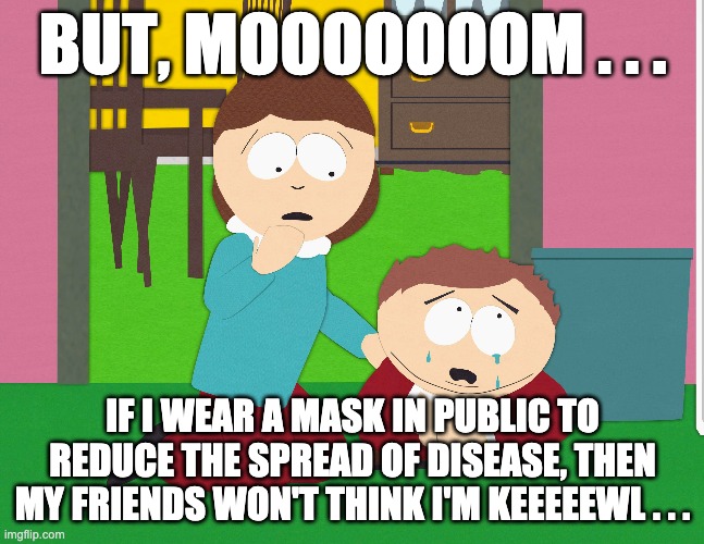 But Mooooooom! | BUT, MOOOOOOOM . . . IF I WEAR A MASK IN PUBLIC TO REDUCE THE SPREAD OF DISEASE, THEN MY FRIENDS WON'T THINK I'M KEEEEEWL . . . | image tagged in face mask,costco,covid,covidiots,first world problems | made w/ Imgflip meme maker