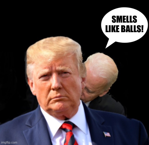 One reason why Joe has no mojo | SMELLS LIKE BALLS! | image tagged in trump biden sniff | made w/ Imgflip meme maker