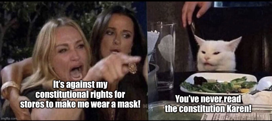 Read it | It’s against my constitutional rights for stores to make me wear a mask! You’ve never read the constitution Karen! | image tagged in karen carpenter and smudge cat | made w/ Imgflip meme maker